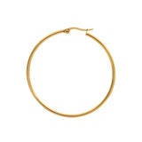 Circle earring